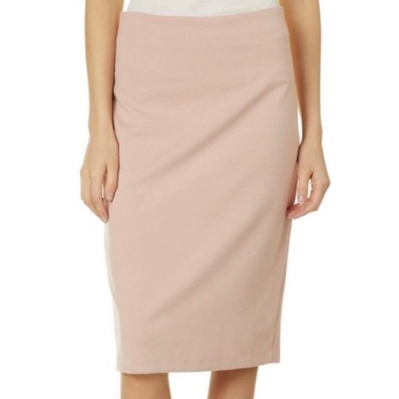 Philosophy Pencil Skirt - Picture 1 of 5